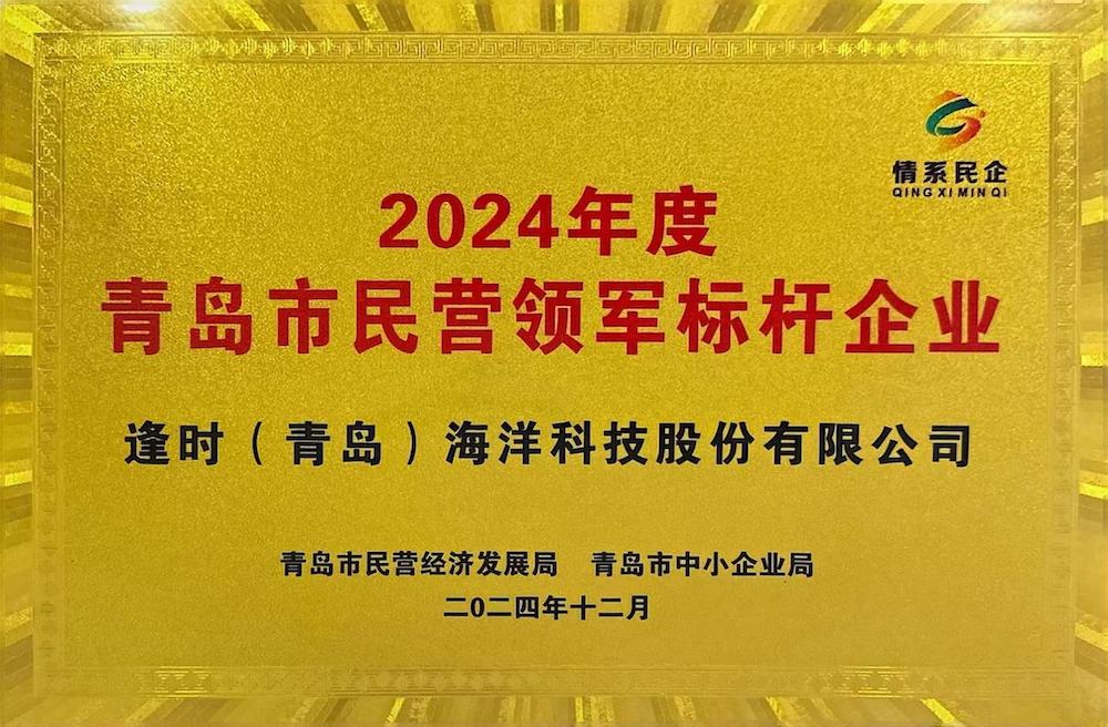 逢时科技获“2024年度青岛市民营领军标杆企业”