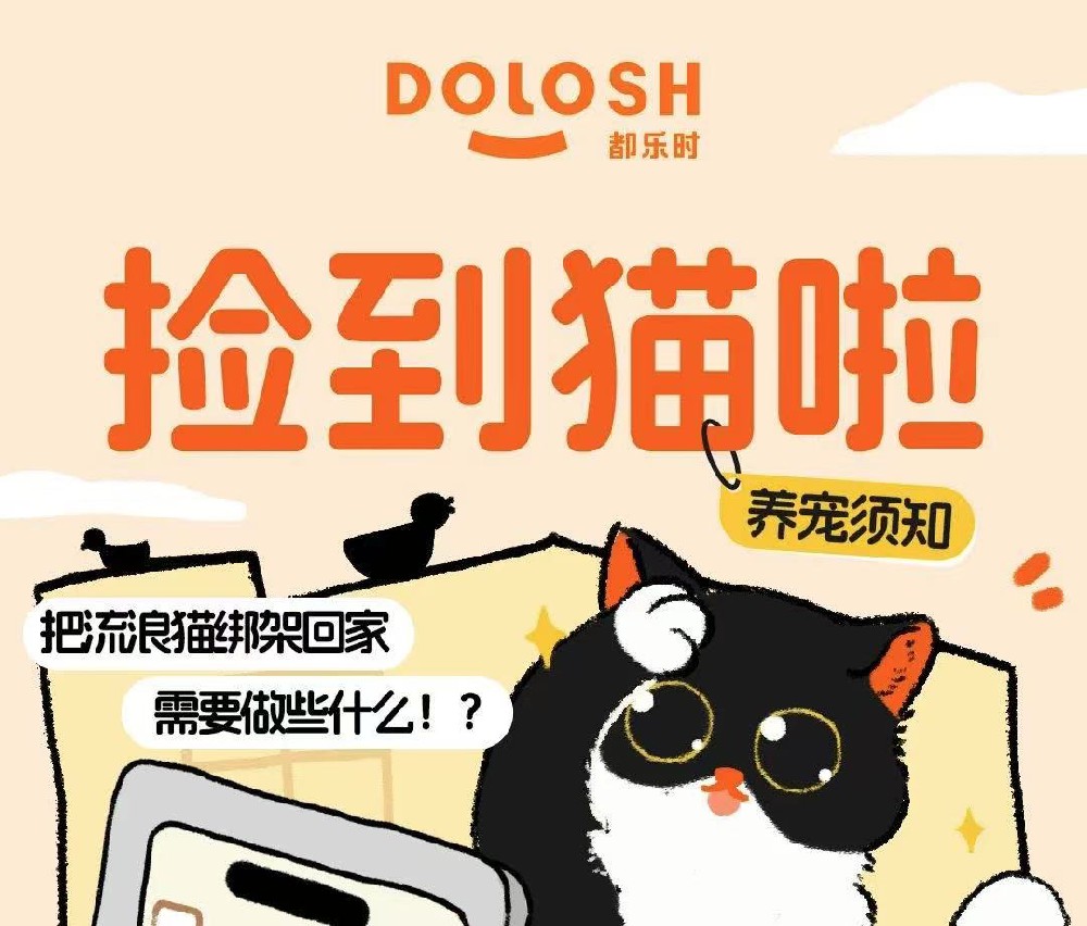 捡到流浪猫别慌，保姆级救助攻略在此