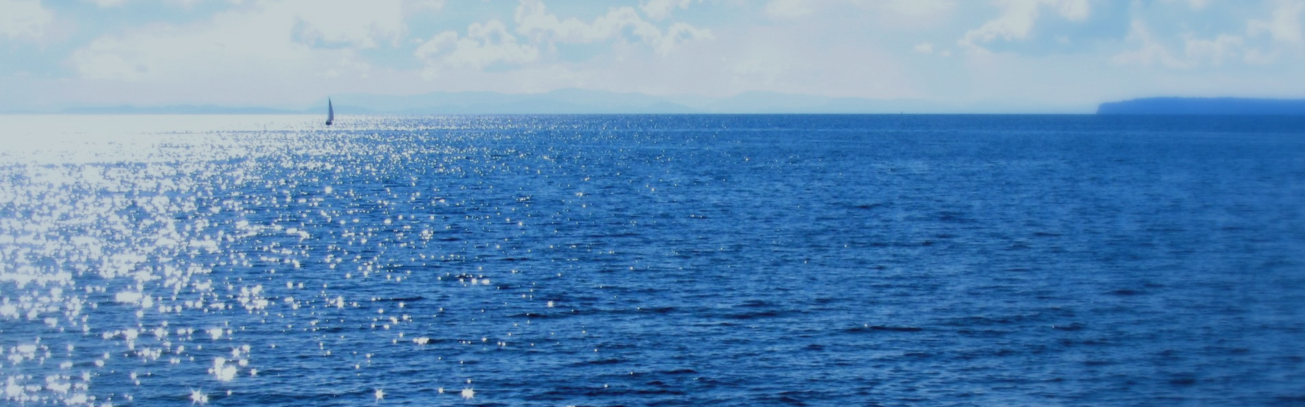 谋定而动，恰逢其时。