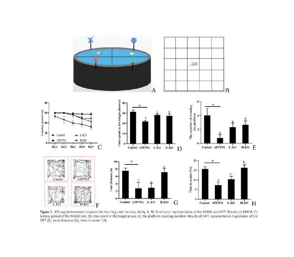 文献精读-长期服用磷虾油可缓解APP/PS1小鼠的 早期轻度认知功能障碍