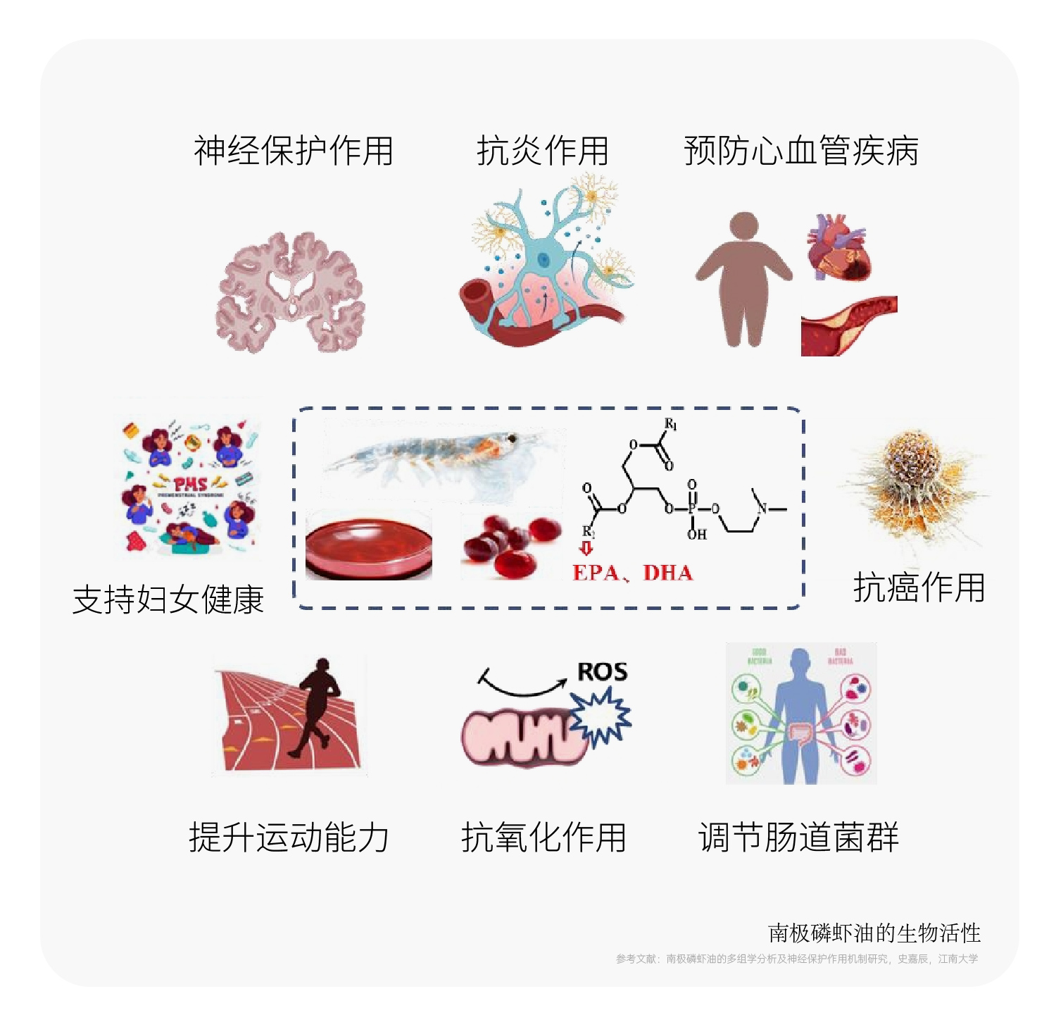 原料药和制剂开发